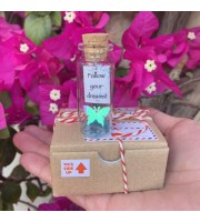 Inspirational gift for her, Butterfly, Engagement gift, Message in a bottle, Best Friend gift, Girlfriend Gift, Follow your dreams, Wish Jar