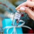Merry Christmas Boyfriend Gift, Best Friend Gift, Miniature Deer Christmas gift for her, Wish jar, Sister Gift, Girlfriend Gift