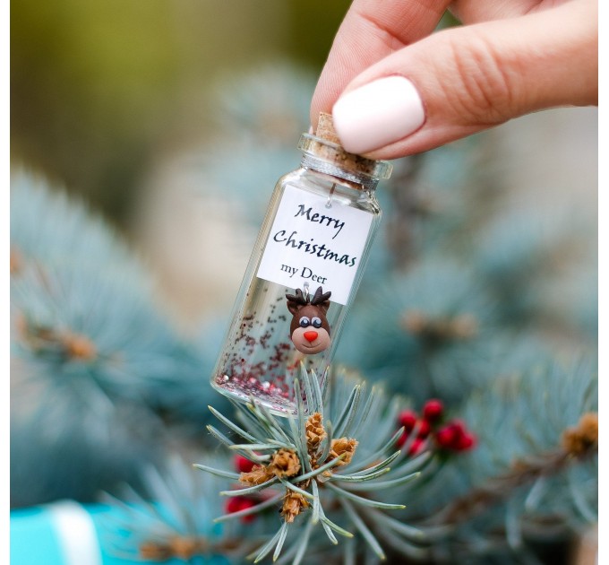 Merry Christmas Boyfriend Gift, Best Friend Gift, Miniature Deer Christmas gift for her, Wish jar, Sister Gift, Girlfriend Gift