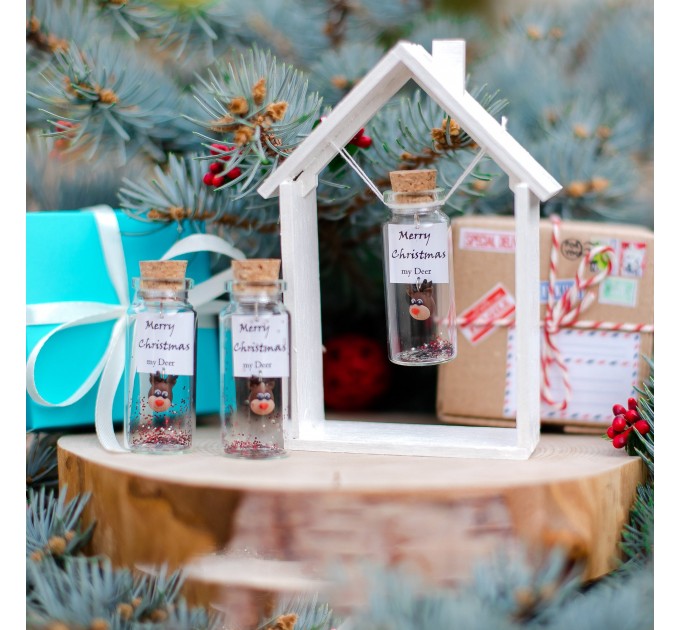 Merry Christmas Boyfriend Gift, Best Friend Gift, Miniature Deer Christmas gift for her, Wish jar, Sister Gift, Girlfriend Gift