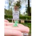 Dinosaur Gift RAWR I love you Message in a Bottle Cute Gift for Boyfriend or Girlfriend Miniature  Dinosaur Funny Present 