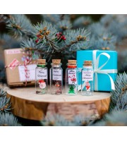 Boyfriend Christmas gift, Santa Gift, Merry Christmas, Miniature Santa Clause, Christmas gift for husband, Message in a bottle, Wish Jar