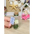 Forever Rose Girlfriend gift, Miniature gift for her, Beauty and the beast Enchanted Rose Message in a Bottle, Preserved rose