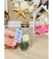 Forever Rose Girlfriend gift, Miniature gift for her, Beauty and the beast Enchanted Rose Message in a Bottle, Preserved rose
