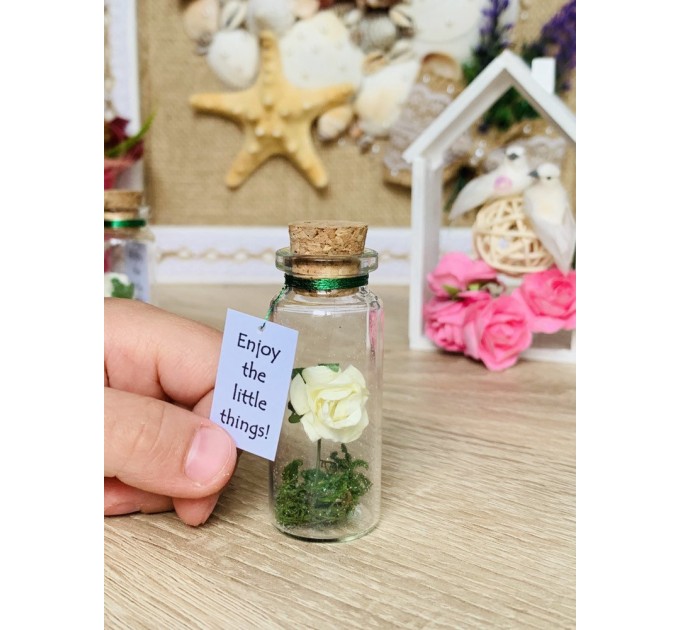 Forever Rose Girlfriend gift, Miniature gift for her, Beauty and the beast Enchanted Rose Message in a Bottle, Preserved rose