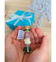 Forever Rose Girlfriend gift, Miniature gift for her, Beauty and the beast Enchanted Rose Message in a Bottle, Preserved rose