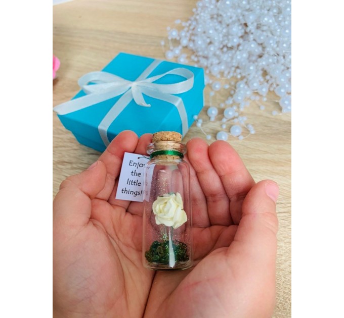 Forever Rose Girlfriend gift, Miniature gift for her, Beauty and the beast Enchanted Rose Message in a Bottle, Preserved rose