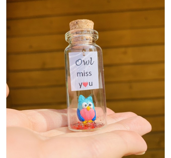 Long Distance Relationship Gift Owl Bottle Boyfriend Gift Cute Girlfriend Gift Personalized Christmas Valentines Birthday Gift Miss You