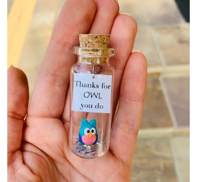 Long Distance Relationship Gift Owl Bottle Boyfriend Gift Cute Girlfriend Gift Personalized Christmas Valentines Birthday Gift Miss You