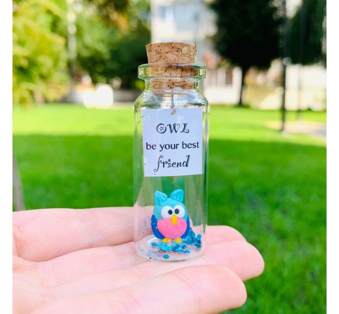 Long Distance Relationship Gift Owl Bottle Boyfriend Gift Cute Girlfriend Gift Personalized Christmas Valentines Birthday Gift Miss You