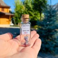 Cute Anniversary Photo Gift For Girlfriend | Custom Message in a Bottle with Miniature Grey Cat | Small gift for boyfriend