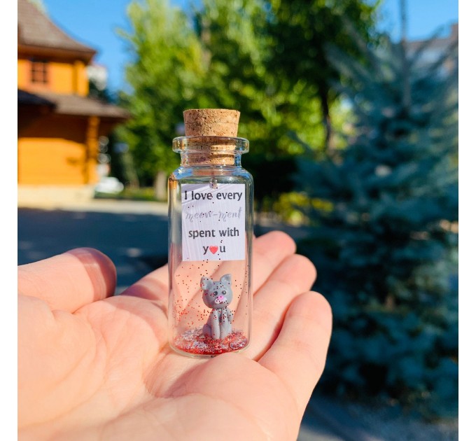 Kseniya Revta Cute Girlfriend and Boyfriend Gifts Message in A Tiny Bottle Birthday Gift