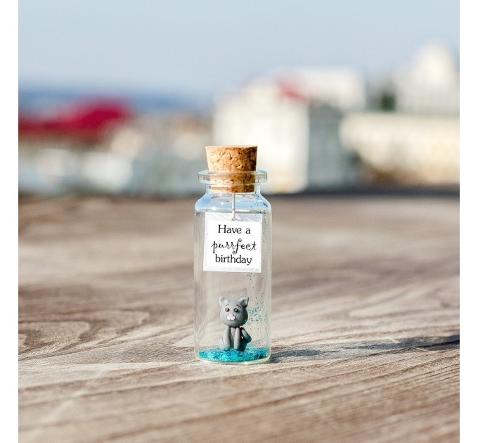 Cute Anniversary Photo Gift For Girlfriend | Custom Message in a Bottle with Miniature Grey Cat | Small gift for boyfriend