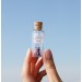 Cute Anniversary Photo Gift For Girlfriend | Custom Message in a Bottle with Miniature Grey Cat | Small gift for boyfriend