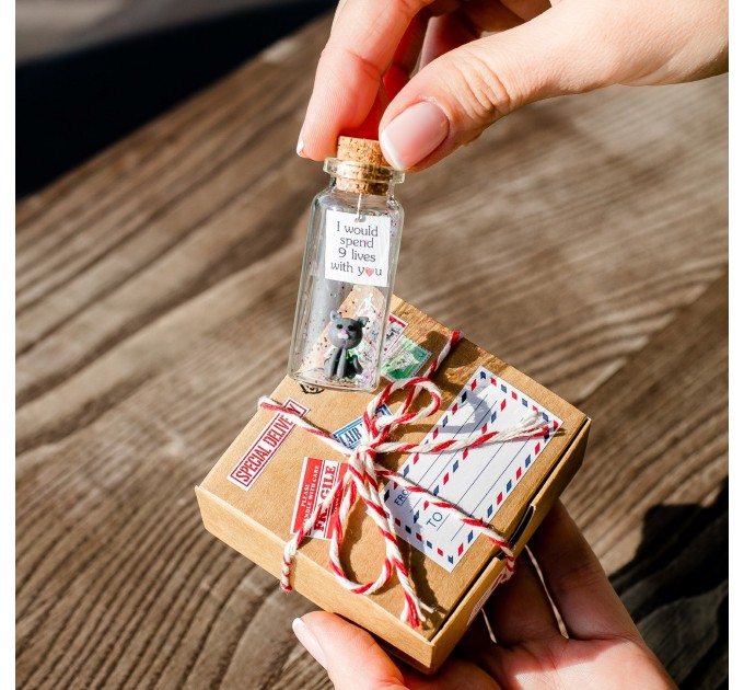 Cute Anniversary Photo Gift For Girlfriend | Custom Message in a Bottle with Miniature Grey Cat | Small gift for boyfriend