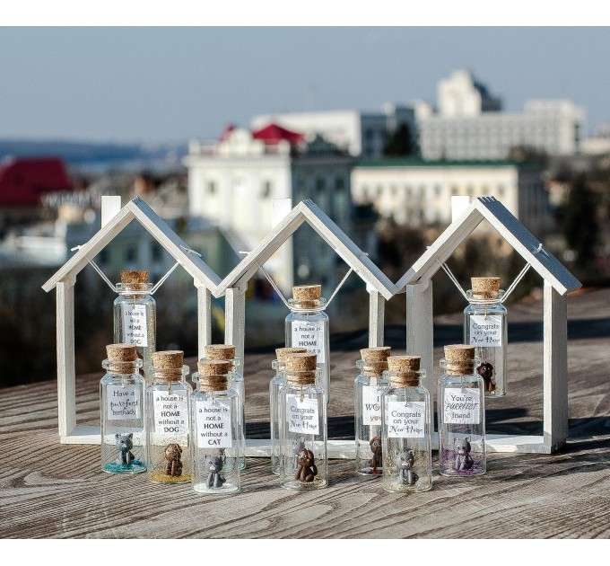 Cute Anniversary Photo Gift For Girlfriend | Custom Message in a Bottle with Miniature Grey Cat | Small gift for boyfriend