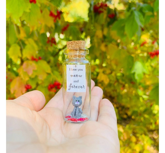 Cute Anniversary Photo Gift For Girlfriend | Custom Message in a Bottle with Miniature Grey Cat | Small gift for boyfriend