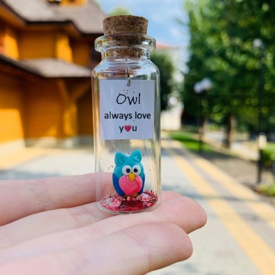 Cute gift for husband wife cheap gift for loved ones love wish jar cheap anniversary gift for girlfriend or boyfriend funny kawaii owl