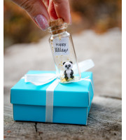 Panda birthday gift Best Friend gifts Miniature panda bear Cute Wish jar Sentimental gift for her Happy Bearday Animal pun Panda lovers gift