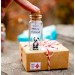 Panda birthday gift Best Friend gifts Miniature panda bear Cute Wish jar Sentimental gift for her Happy Bearday Animal pun Panda lovers gift