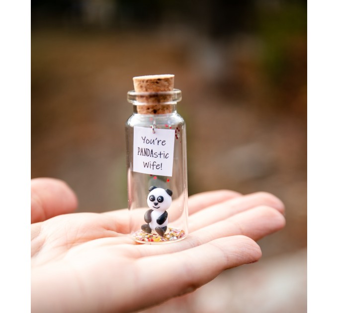 Cute wife gift Panda bear gift for wife Small present for wife from husband Panda gifts to my wife Funny for best wife Collectibles panda