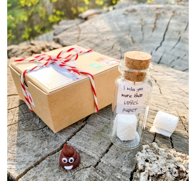 Funny Gift for Friend Quarantune Gift Funny Toilet Paper Roll