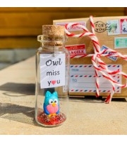 Owl lover gift | Custom teacher appreciation gift | Personalised message in a bottle | Sympathy owl present for men