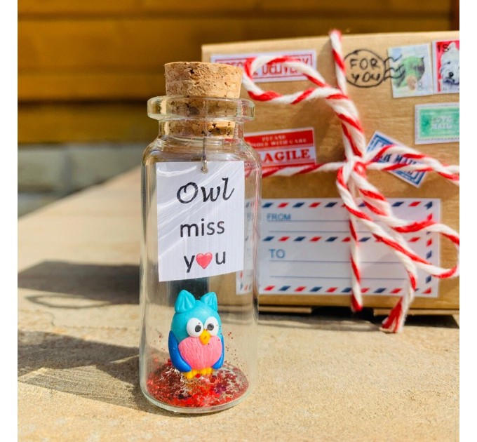 Owl lover gift | Custom teacher appreciation gift | Personalised message in a bottle | Sympathy owl present for men