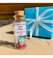 Owl lover gift | Custom teacher appreciation gift | Personalised message in a bottle | Sympathy owl present for men