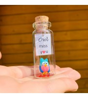 Owl lover gift | Custom teacher appreciation gift | Personalised message in a bottle | Sympathy owl present for men