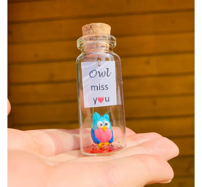 Owl lover gift | Custom teacher appreciation gift | Personalised message in a bottle | Sympathy owl present for men