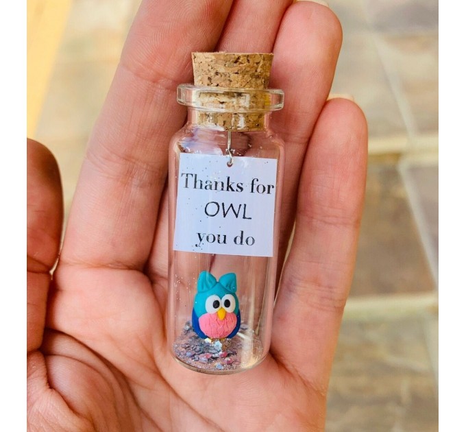 Owl lover gift | Custom teacher appreciation gift | Personalised message in a bottle | Sympathy owl present for men