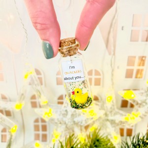 Valentine's Day Gift rubber duck lover gift, message in a bottle friend gift, funny gift for him, handmade gift for her, funny gift for mom