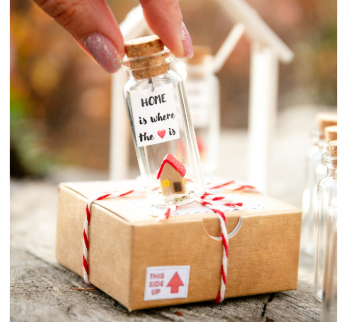 Valentines Day Gift for Wife or Husband Meaningful Gift for Boyfriend or Girlfriend Miniature House and Message in a Bottle Romantic Present