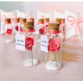 Quinceañera Favors for Guests, Sweet 16 Party Souvenirs, Rose in a bottle for Quince party, Save the Date Favor, Thanks You Gift for guests