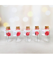 Personalized Quinceanera Favors Set of 10, Sweet 16 Birthday Party Favors for guests With Photo, Miss 15 Forever Rose & Message In A Bottle