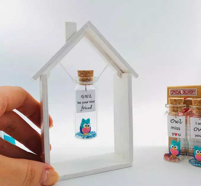 Owl Gift Best Friend Gifts With Meaning Cute Gift For Her Niece Gift Funny Present For