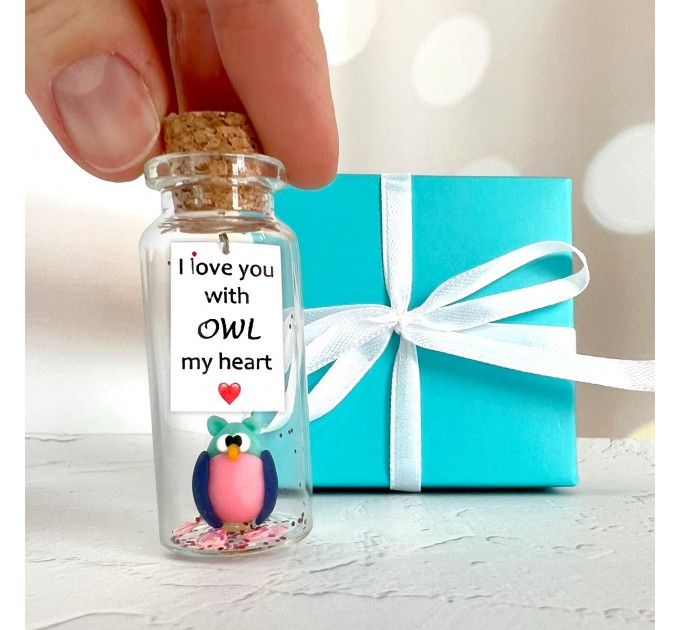 Funny Owl Gift For Boyfriend, Cute Anniversary Gift For Girlfriend, Owl Lover Gift, Exquisite Gift For Her