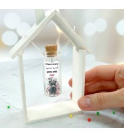 Cute Anniversary Photo Gift For Girlfriend | Custom Message in a Bottle with Miniature Grey Cat | Small gift for boyfriend