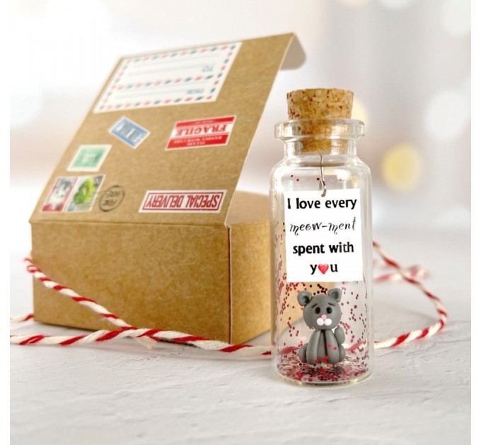 Cute Anniversary Photo Gift For Girlfriend | Custom Message in a Bottle with Miniature Grey Cat | Small gift for boyfriend