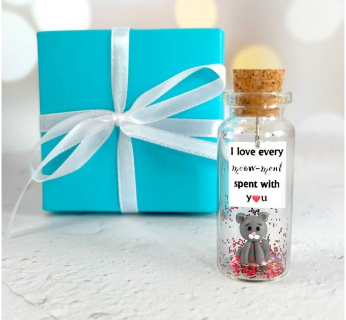 Cute Anniversary Photo Gift For Girlfriend | Custom Message in a Bottle with Miniature Grey Cat | Small gift for boyfriend