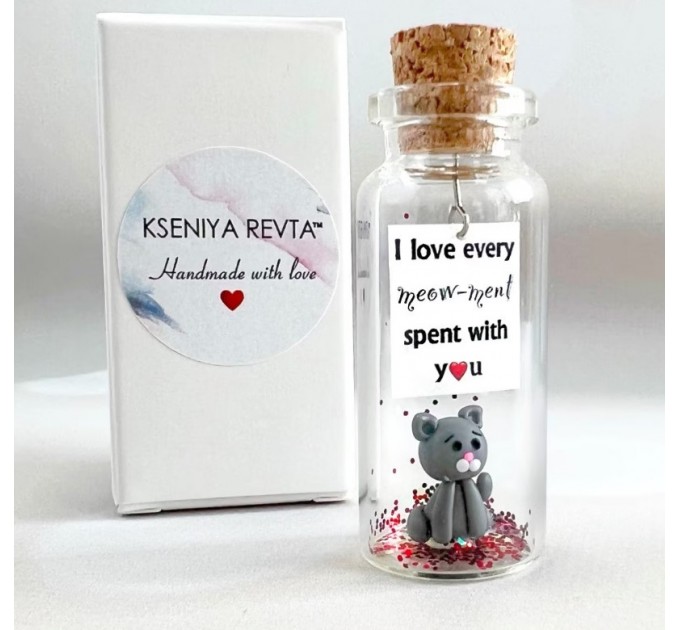 Cute Anniversary Photo Gift For Girlfriend | Custom Message in a Bottle with Miniature Grey Cat | Small gift for boyfriend