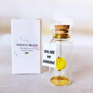 Gifts for her You are my sunshine Personalized Girlfriend Gift Romantic Anniversary present for wife Custom lesbian gift You are my sunshine