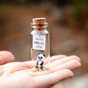 Cute wife gift Panda bear gift for wife Small present for wife from husband Panda gifts to my wife Funny for best wife Collectibles panda