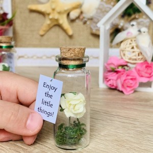 Forever Rose Girlfriend gift, Miniature gift for her, Beauty and the beast Enchanted Rose Message in a Bottle, Preserved rose