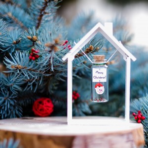 Boyfriend Christmas gift, Santa Gift, Merry Christmas, Miniature Santa Clause, Christmas gift for husband, Message in a bottle, Wish Jar