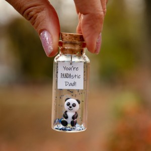 Dad Bear Fathers Day Gift From Daughter Cute Panda Bear Gift For Dad From Son Personalized Grandfather gift Stepdad Present Animal Love