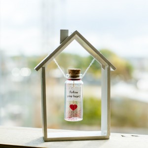 Follow your heart Gift for Girlfriend, Red Heart Wish Jar,  Best Friend Gift,  Mindfulness Gift for her, Lesbian Girlfriend, Unusual gift