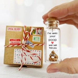 Funny Gift for Husband and Wife - Romantic Gifts for Girlfriend and Boyfriend - Unique Anniversary Presents Miniature Poop