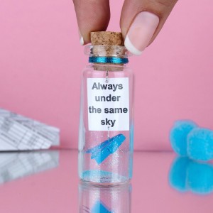 Long Distance Relationship Gift, Message in a Bottle, Gift for Boyfriend, Going away, Gift for Him, Gift for her, Military, Airplane